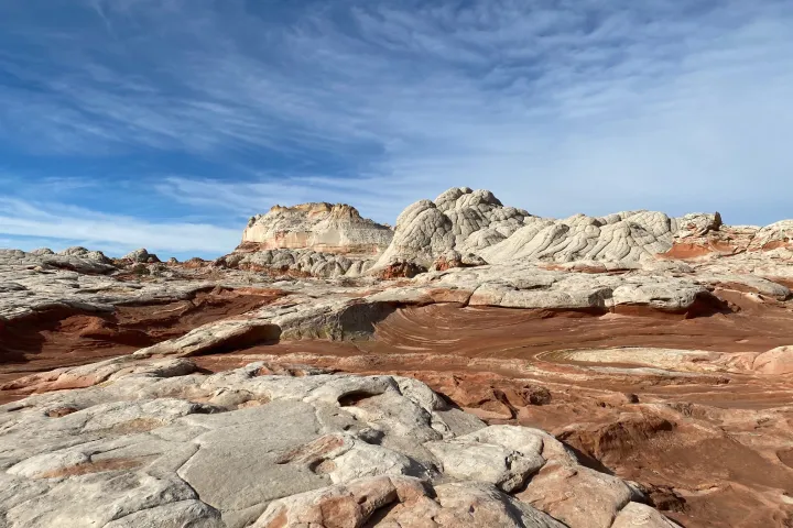 Vermilion - White Pocket