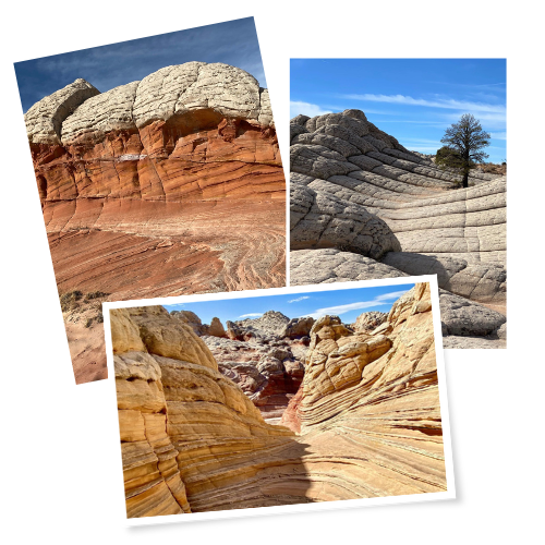 Untitled design – 2023-08-01T102329.250 a close up of a rock